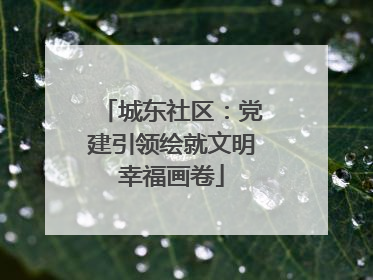 城东社区：党建引领绘就文明幸福画卷